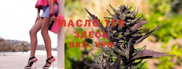 стаф Новодвинск