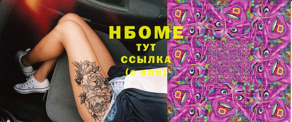 стаф Новодвинск