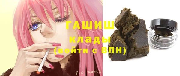 индика Балахна