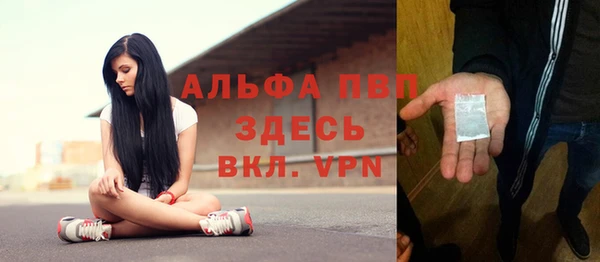индика Балахна