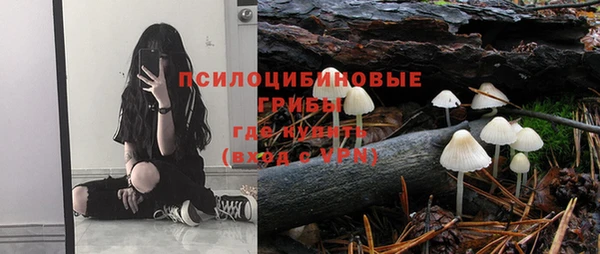 стаф Новодвинск