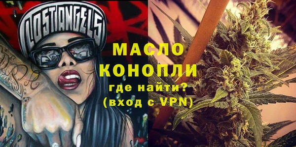 индика Балахна