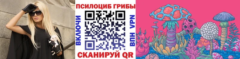 купить закладку  Горячий Ключ  Псилоцибиновые грибы ЛСД 
